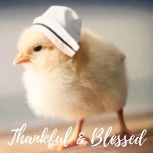 Meet your Posher, Jilma